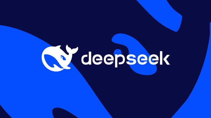 Deepseek side